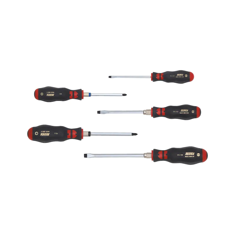 WURTH SADA ZEBRA SKRUTKOV. 3K D, 5 DIELOV ZEBRA