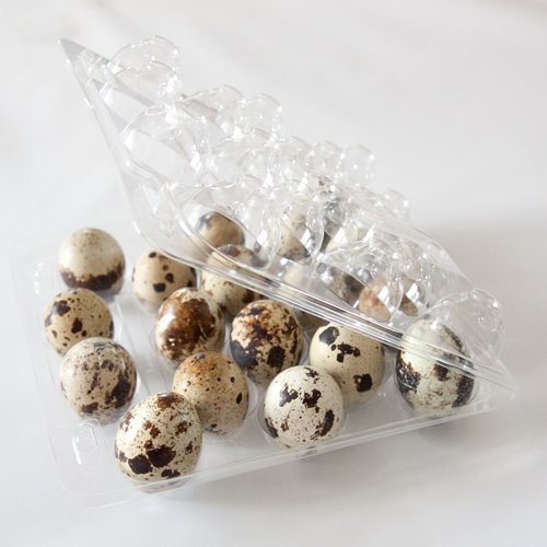 Blister plato na Prepeličie vajíčka na 18ks vajíčok