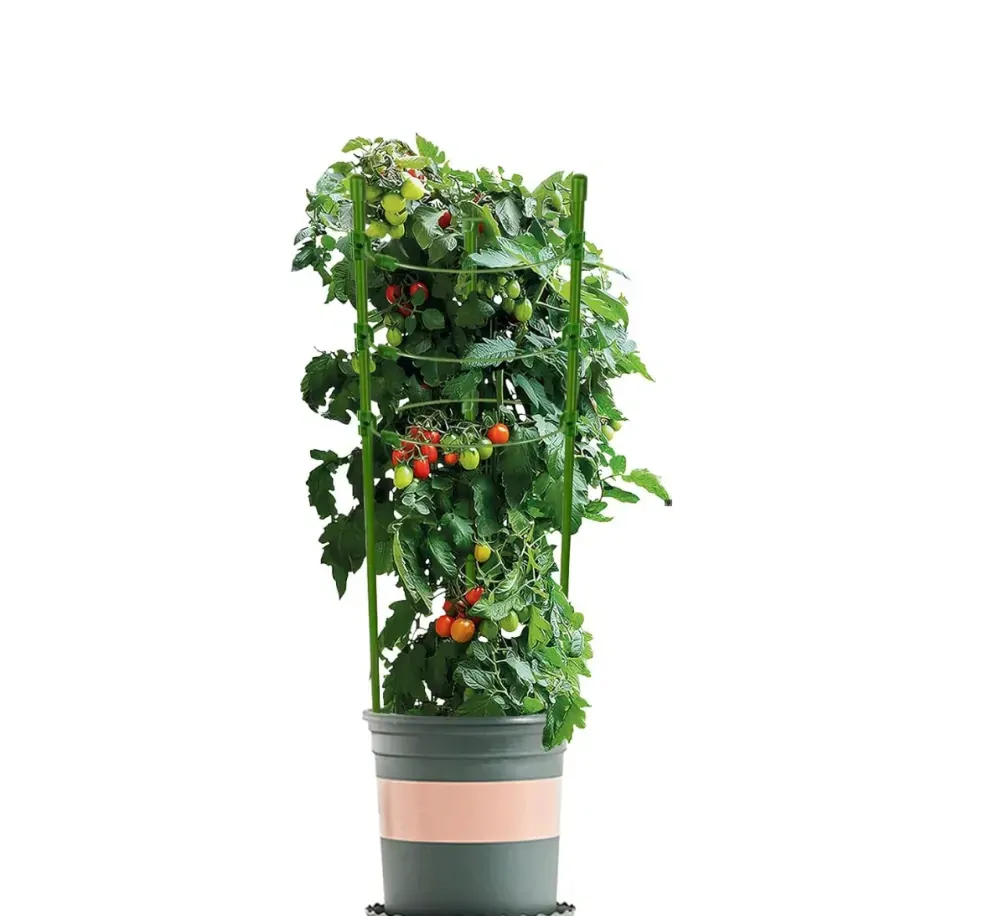 Garlist GPK podpera rastlín kruhová 75 cm 3 prstence